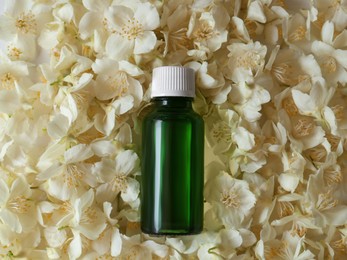 Photo of Bottle of jasmine essential oil on white flowers, top view