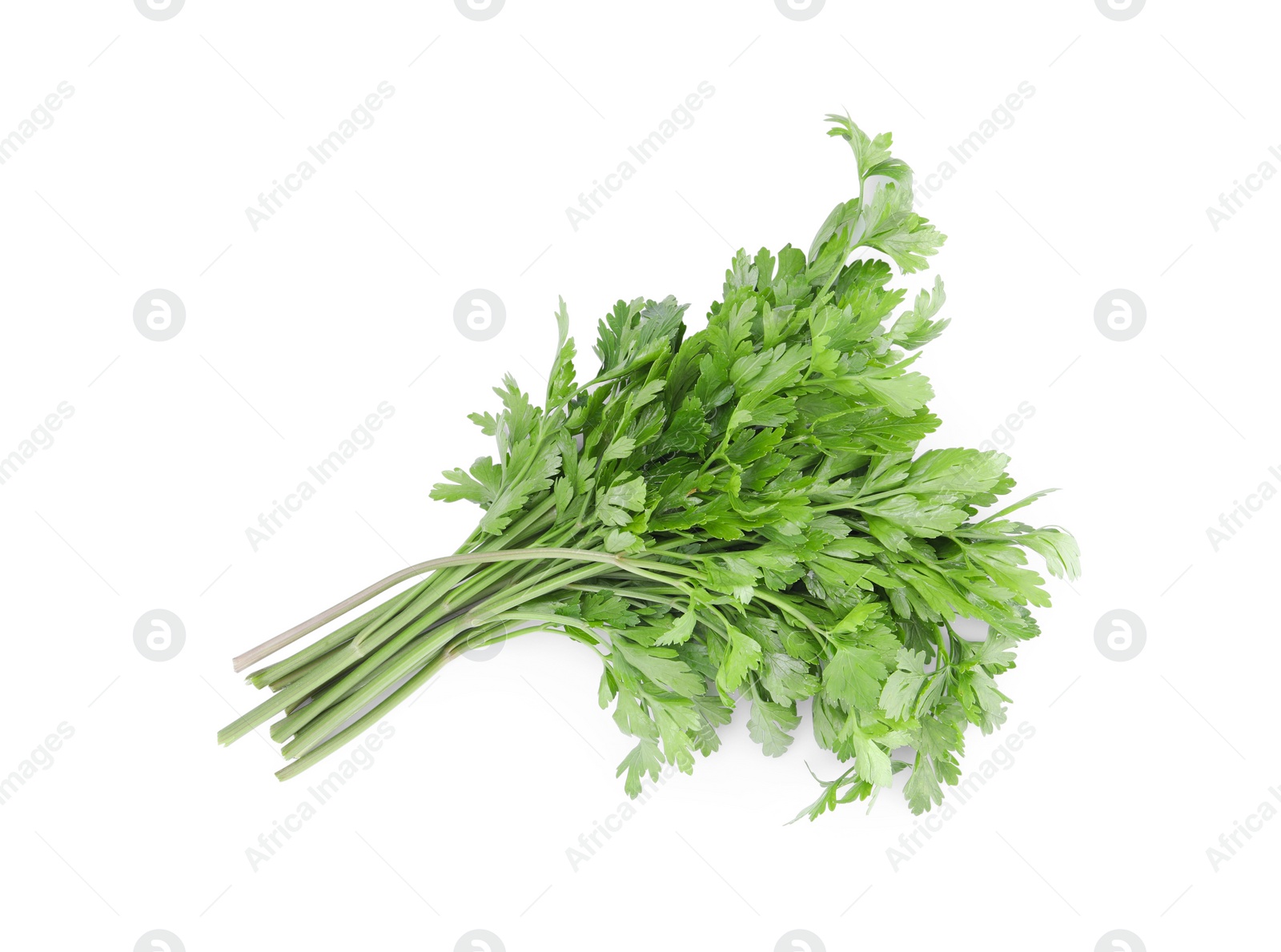 Bunch of fresh green parsley leaves isolated on white, top view Photo of Bunch of fresh green parsley leaves isolated on white, top view