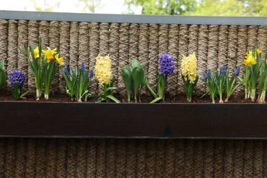 Photo of Different bright flowers in planter on fence outdoors