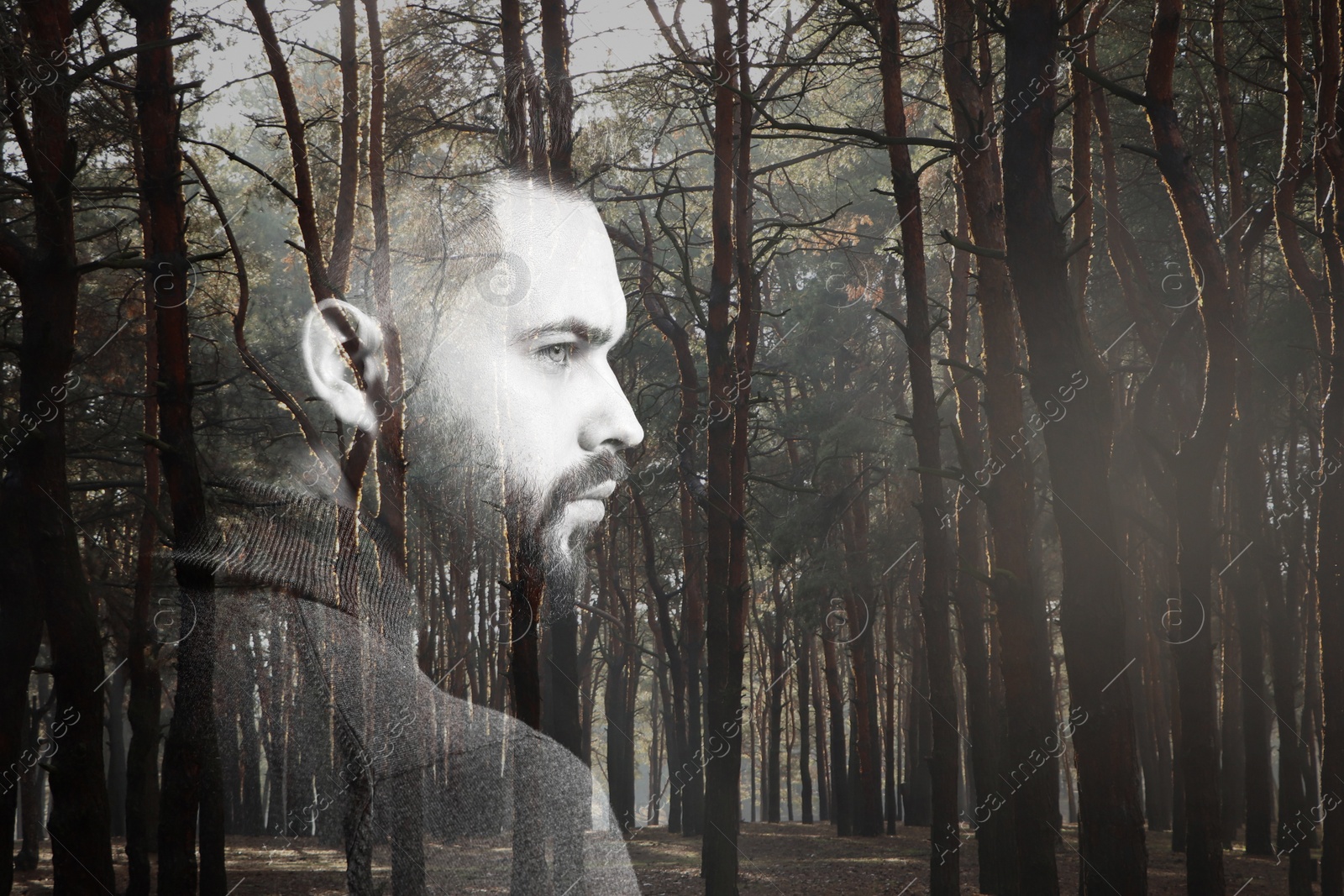 Image of Double exposure of thoughtful man and trees