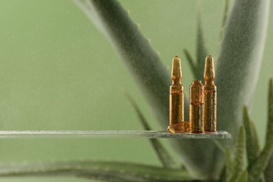 Photo of Wet skincare ampoules near aloe vera on light green background, closeup. Space for text