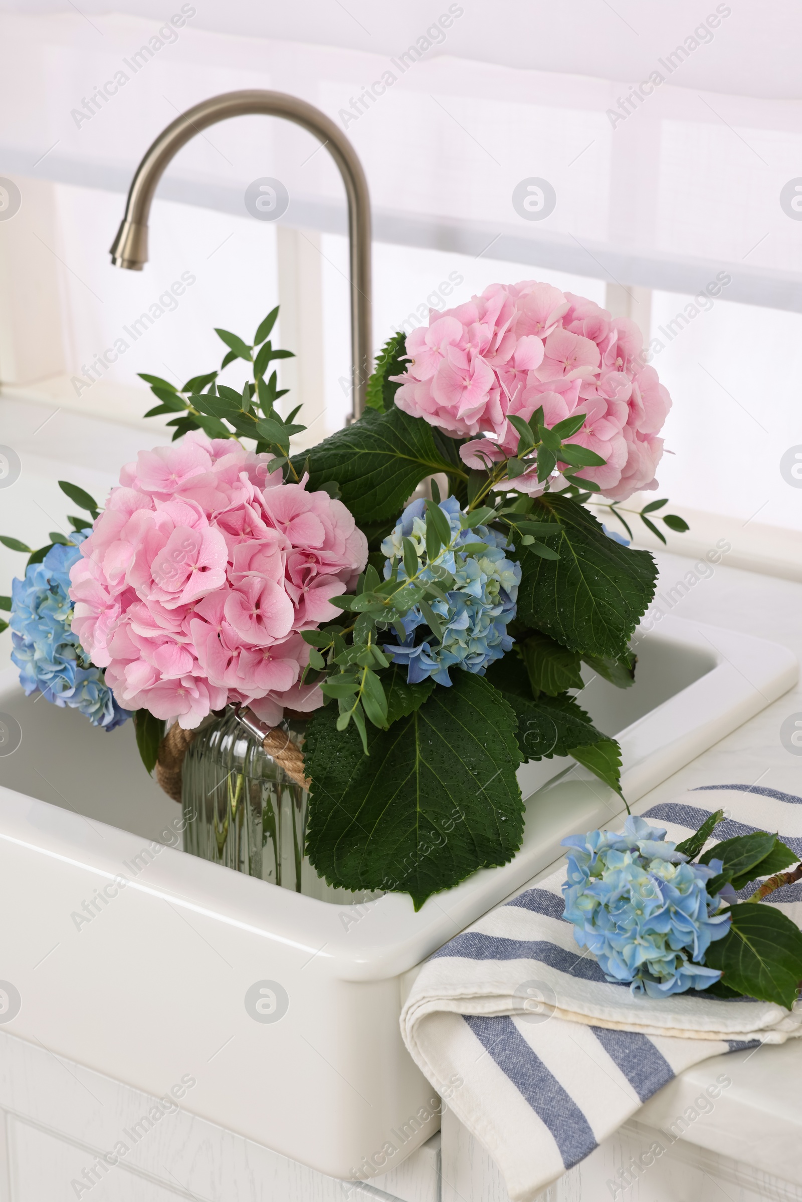 Photo of Vase with beautiful hortensia flowers in kitchen sink