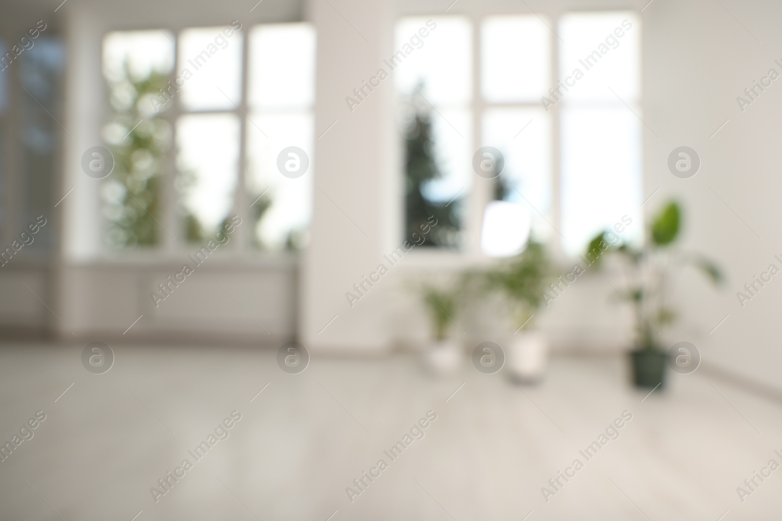 Photo of Blurred view of renovated room with potted houseplants and windows