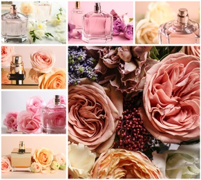 Creative collage with photos of luxury perfume and beautiful flowers on color backgrounds 