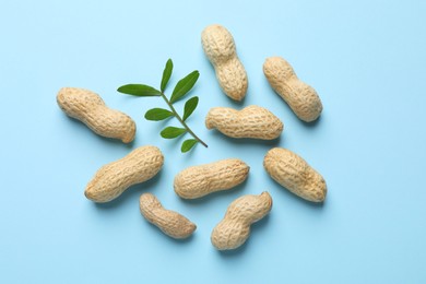 Photo of Fresh unpeeled peanuts and twig on light blue background, flat lay