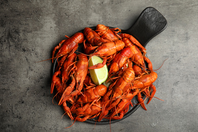 Photo of Delicious boiled crayfishes on grey table, top view