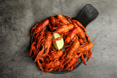 Delicious boiled crayfishes on grey table, top view