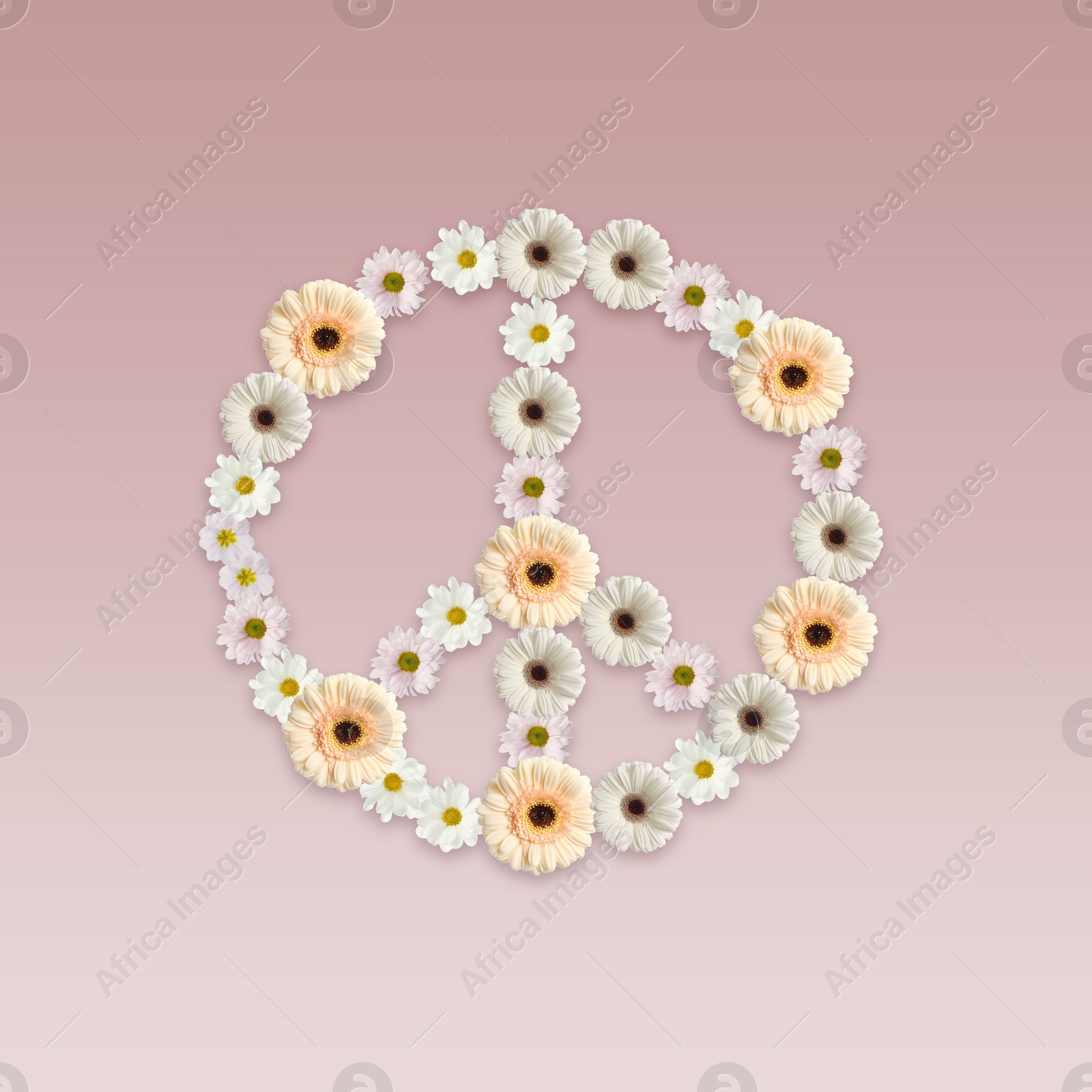 Image of Hippie peace symbol made of beautiful flowers on dusty pink background