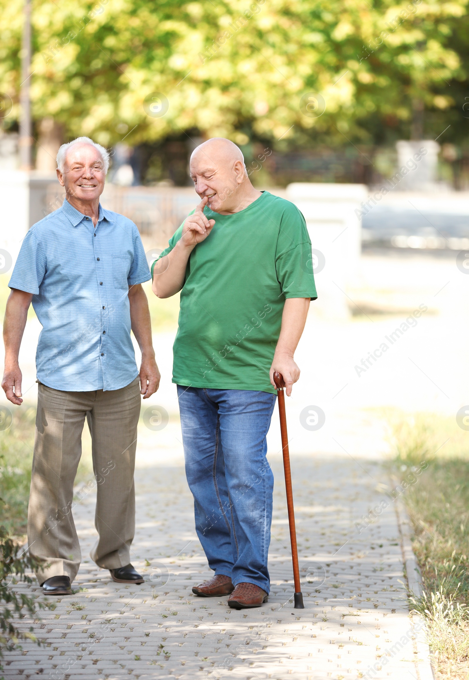 Photo of Elderly men spending time together in park