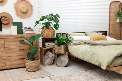 Comfortable bed and beautiful green houseplants in bedroom