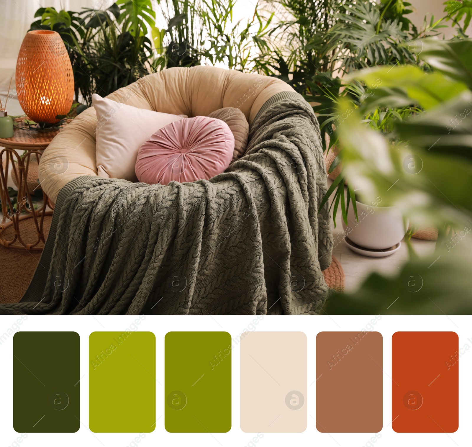 Image of Color palette and photo of indoor terrace interior with soft papasan chair and green plants. Collage