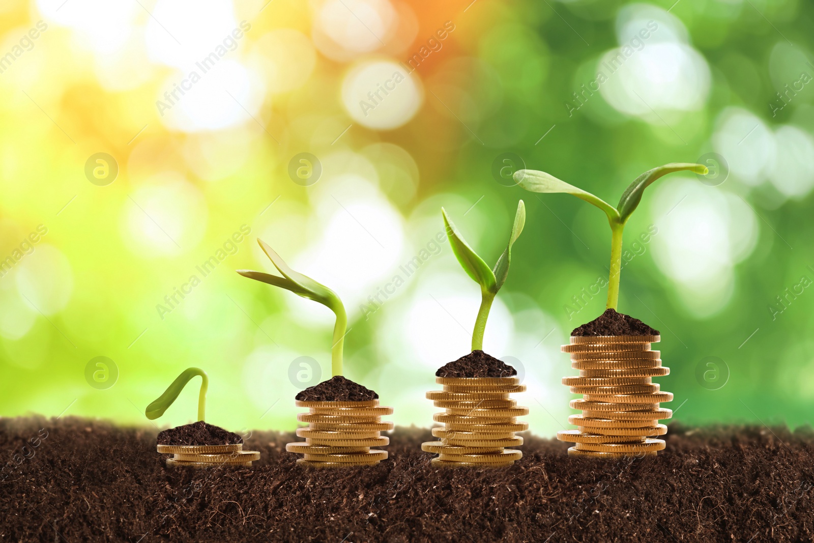 Image of Stacked coins and green seedlings on ground outdoors, bokeh effect. Investment concept