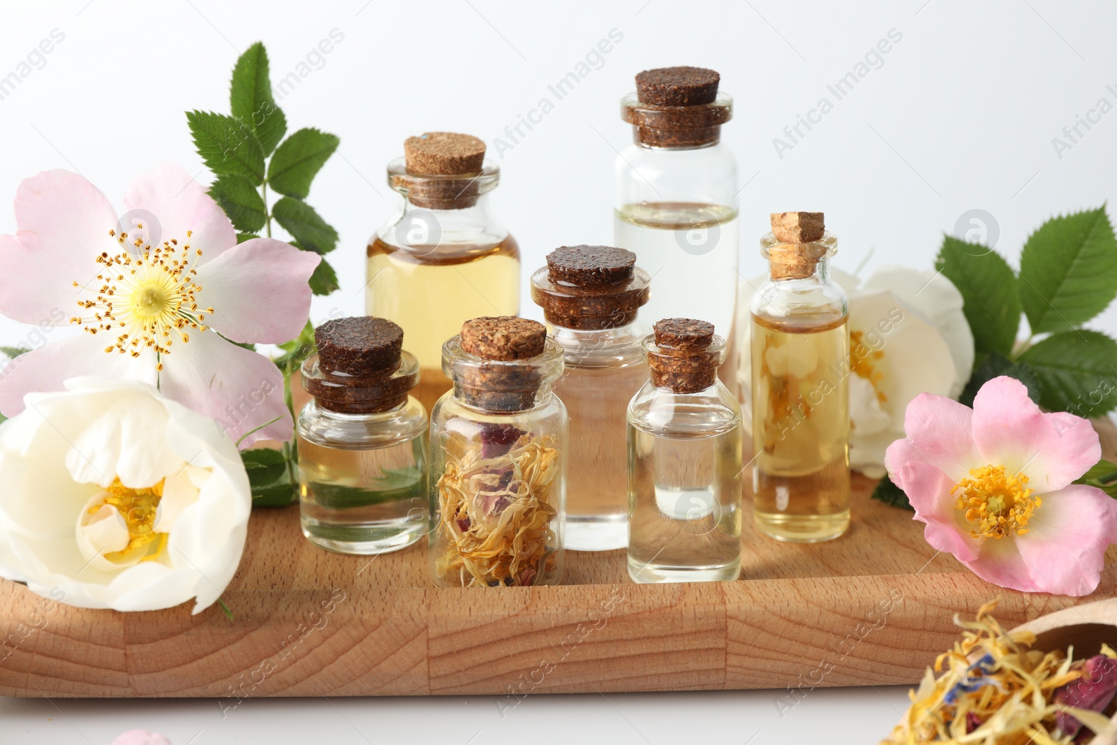 Photo of Aromatherapy. Different essential oils, flowers and green leaves on white background