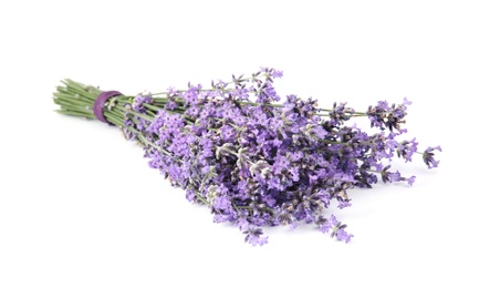 Beautiful tender lavender flowers on white background