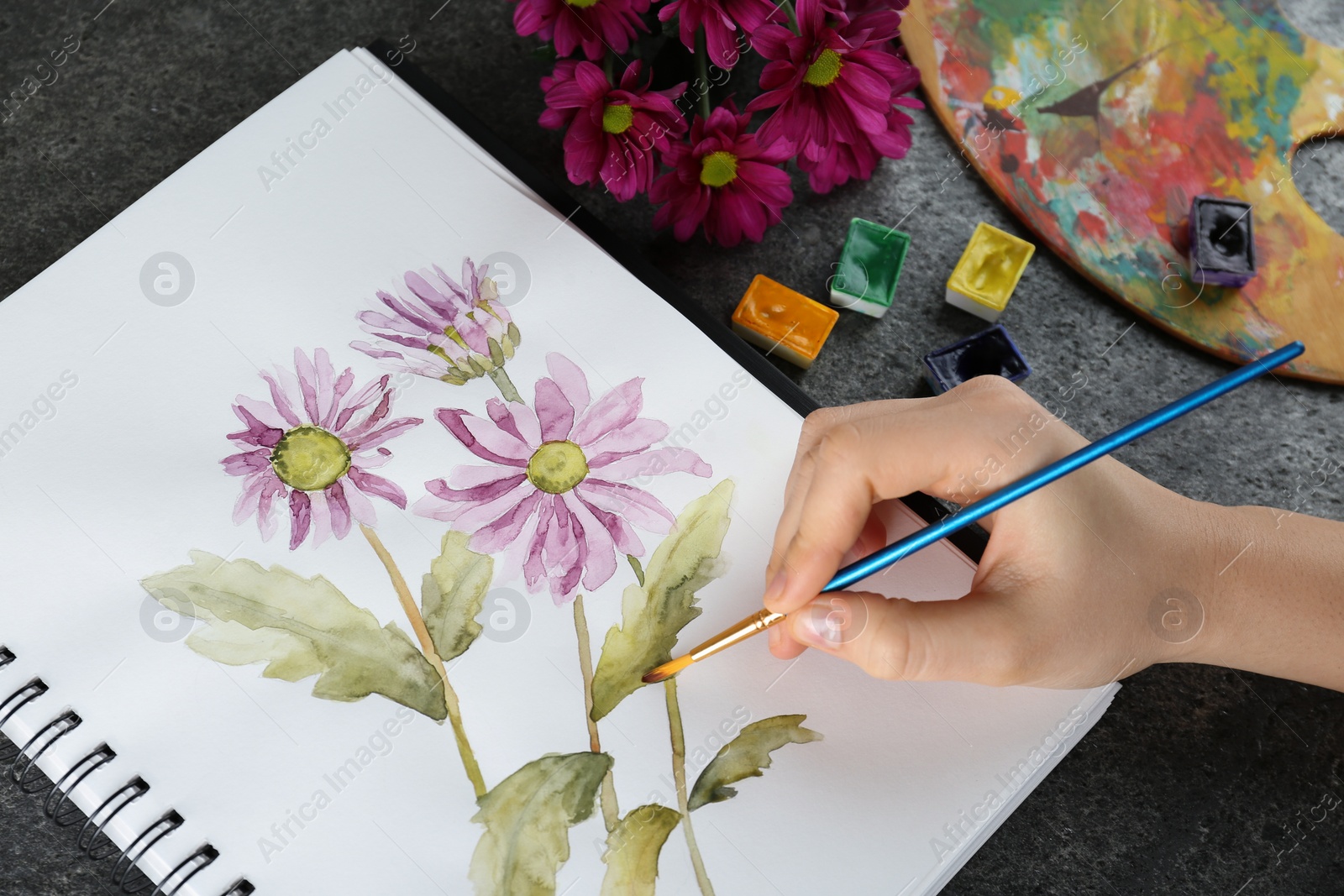 Photo of Woman drawing beautiful chrysanthemum flowers in sketchbook at grey table, closeup