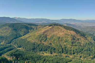 Photo of Beautiful mountains covered with forest on sunny day. Drone photography