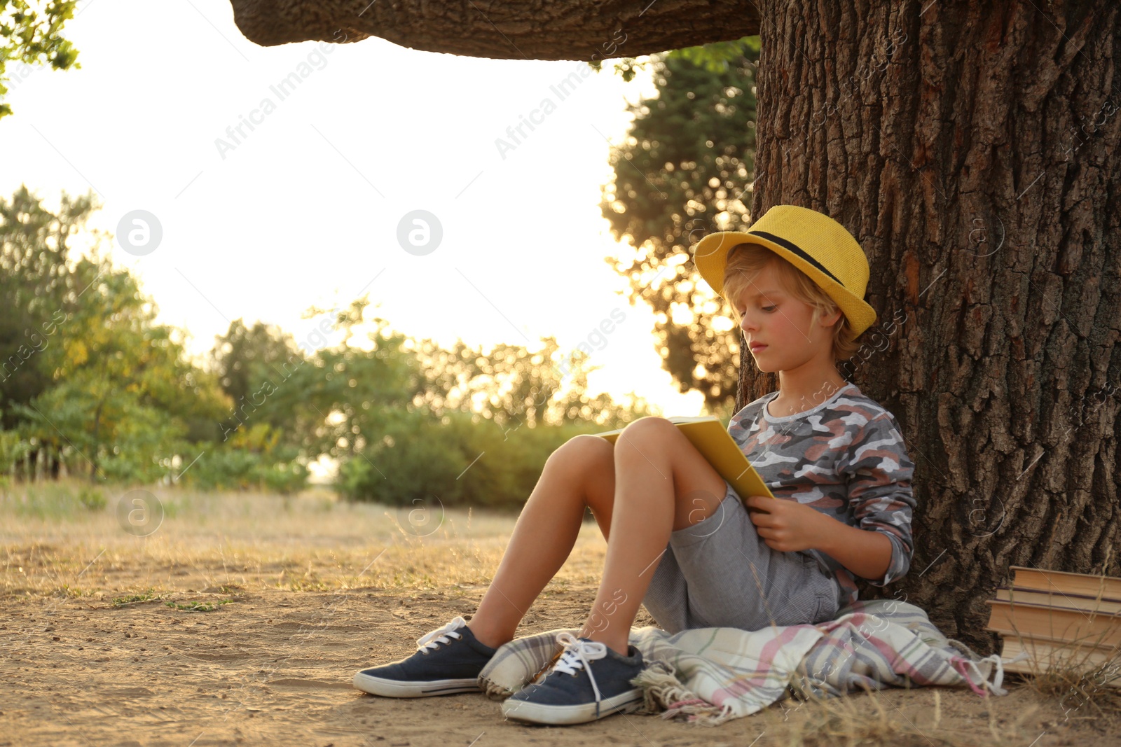 Photo of Cute little boy reading book near tree in park