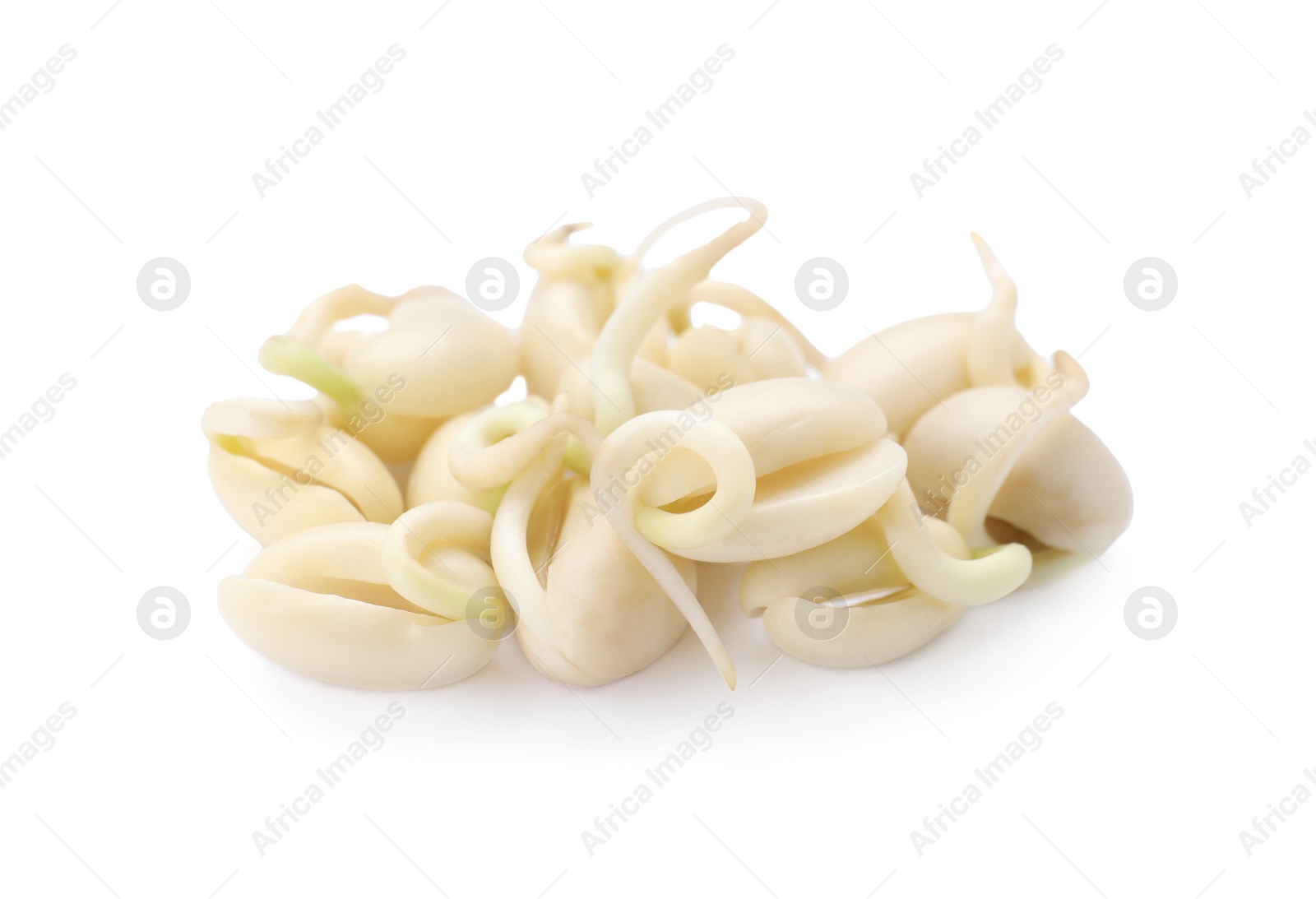 Photo of Many sprouted kidney beans isolated on white