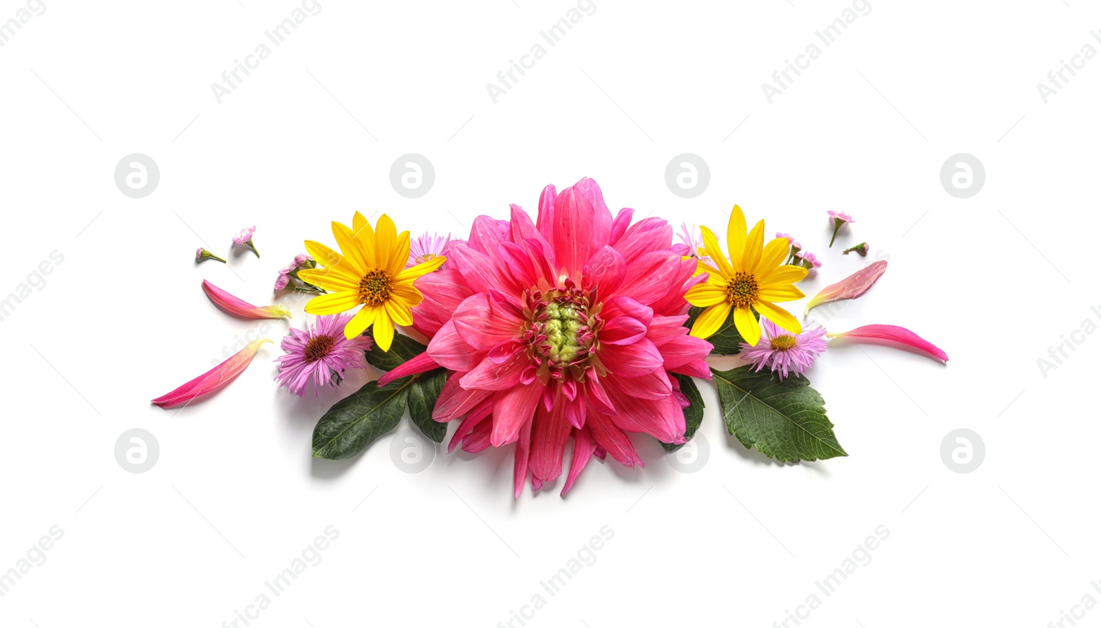 Photo of Flat lay composition with beautiful dahlia flowers and space for text on white background