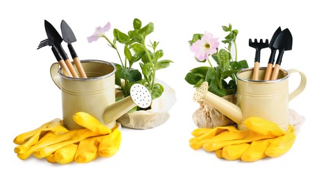 Image of Watering cans, flowers and different gardening tools on white background. Banner design
