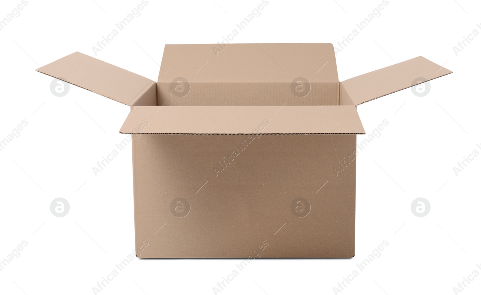 Photo of One open cardboard box isolated on white