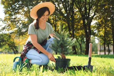 Photo of Young woman planting conifer tree in park on sunny day