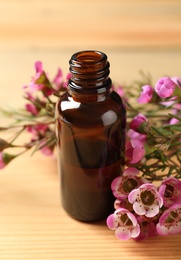 Photo of Bottle of natural tea tree oil and plant on wooden table