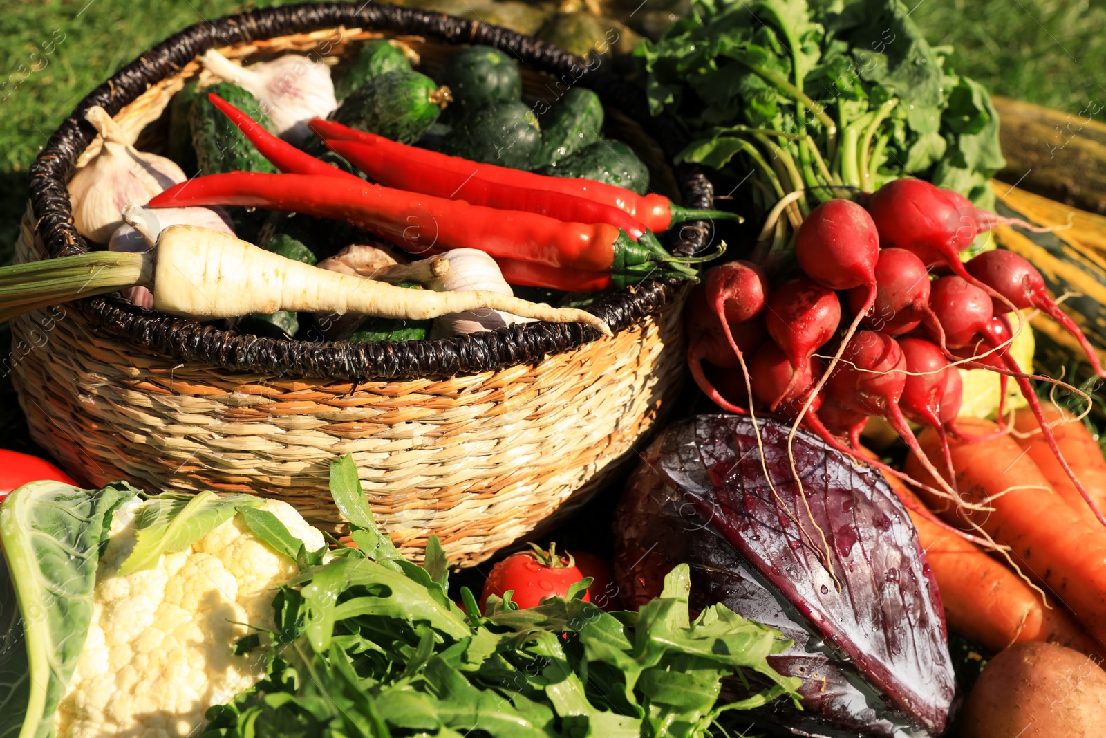 Photo of Different fresh ripe vegetables on green grass, closeup