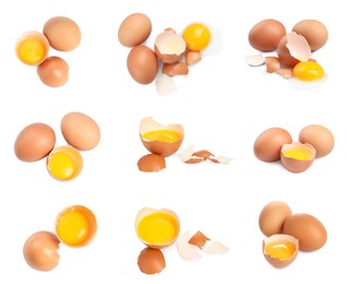 Image of Many eggs and yolks on white background, set