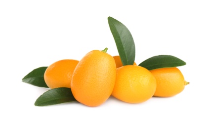 Fresh ripe kumquats with leaves on white background. Exotic fruit