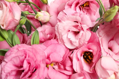Photo of Beautiful pink Eustoma flowers as background, closeup