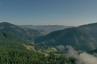 Aerial view of beautiful mountain forest covered with fluffy clouds on sunny day