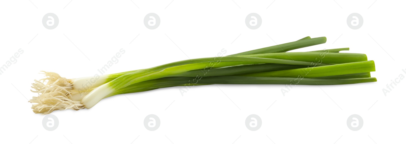 Photo of Fresh green spring onions on white background