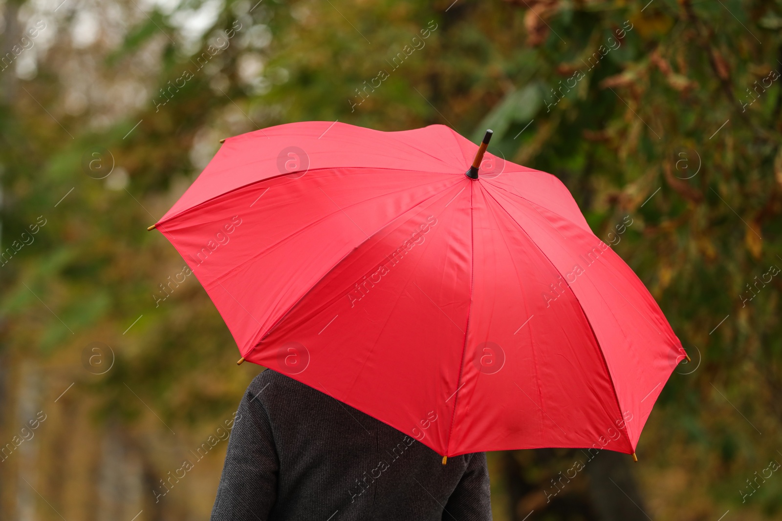 Photo of Woman with red umbrella in autumn park, back view