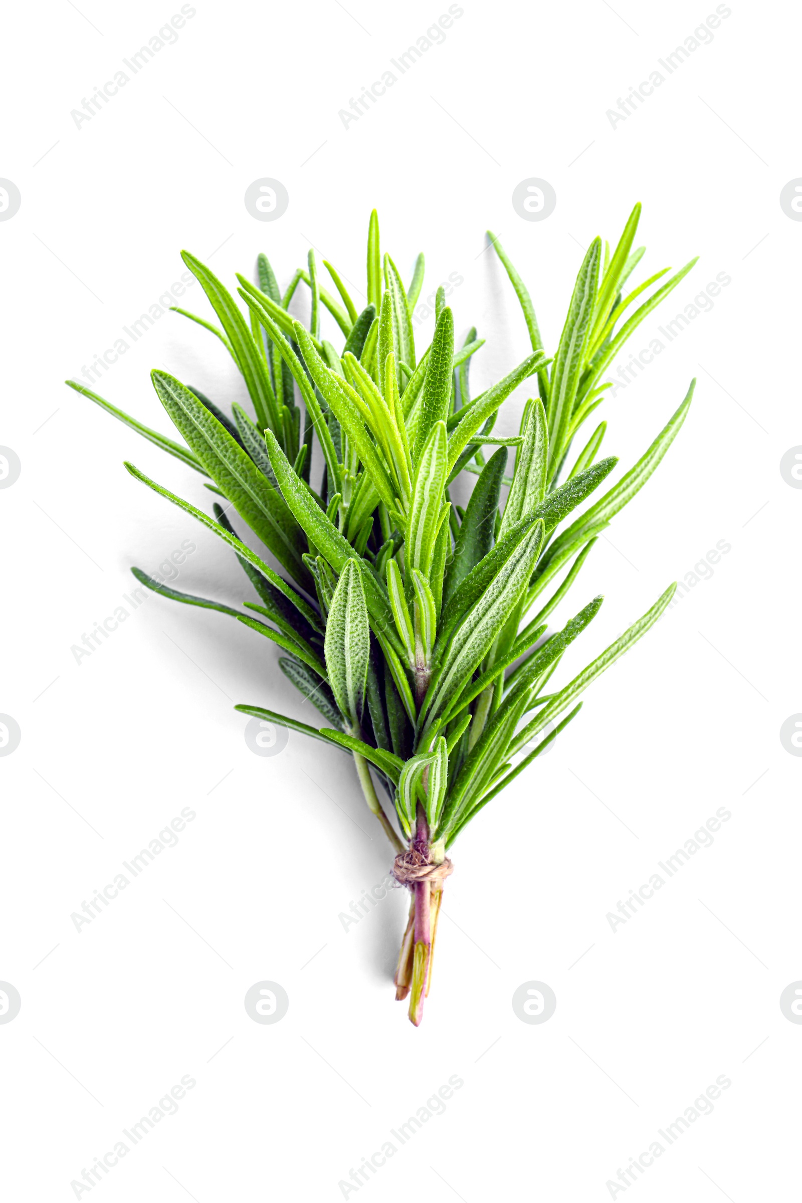 Photo of Bunch of aromatic fresh rosemary leaves on white background, top view