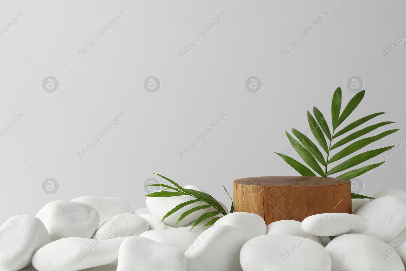 Photo of Presentation for product. Wooden podium and green twigs on white pebbles. Space for text