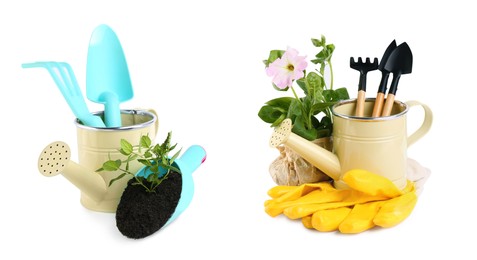 Watering cans and different gardening tools on white background. Banner design