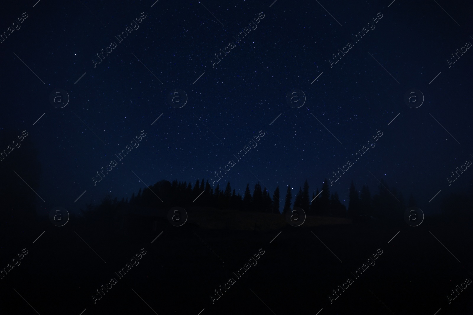 Photo of Beautiful view of dark forest under starry sky at night