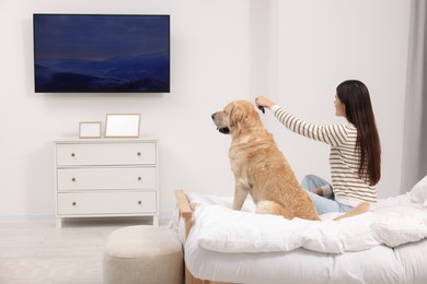 Photo of Happy woman turning on TV while sitting near cute Labrador Retriever at home, back view