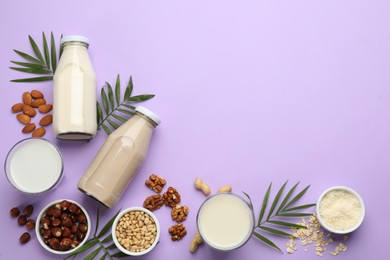 Different organic vegan milks and ingredients on violet background, flat lay. Space for text