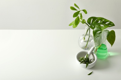 Photo of Ceramic mortar and laboratory glassware with plants on white background. Chemistry concept
