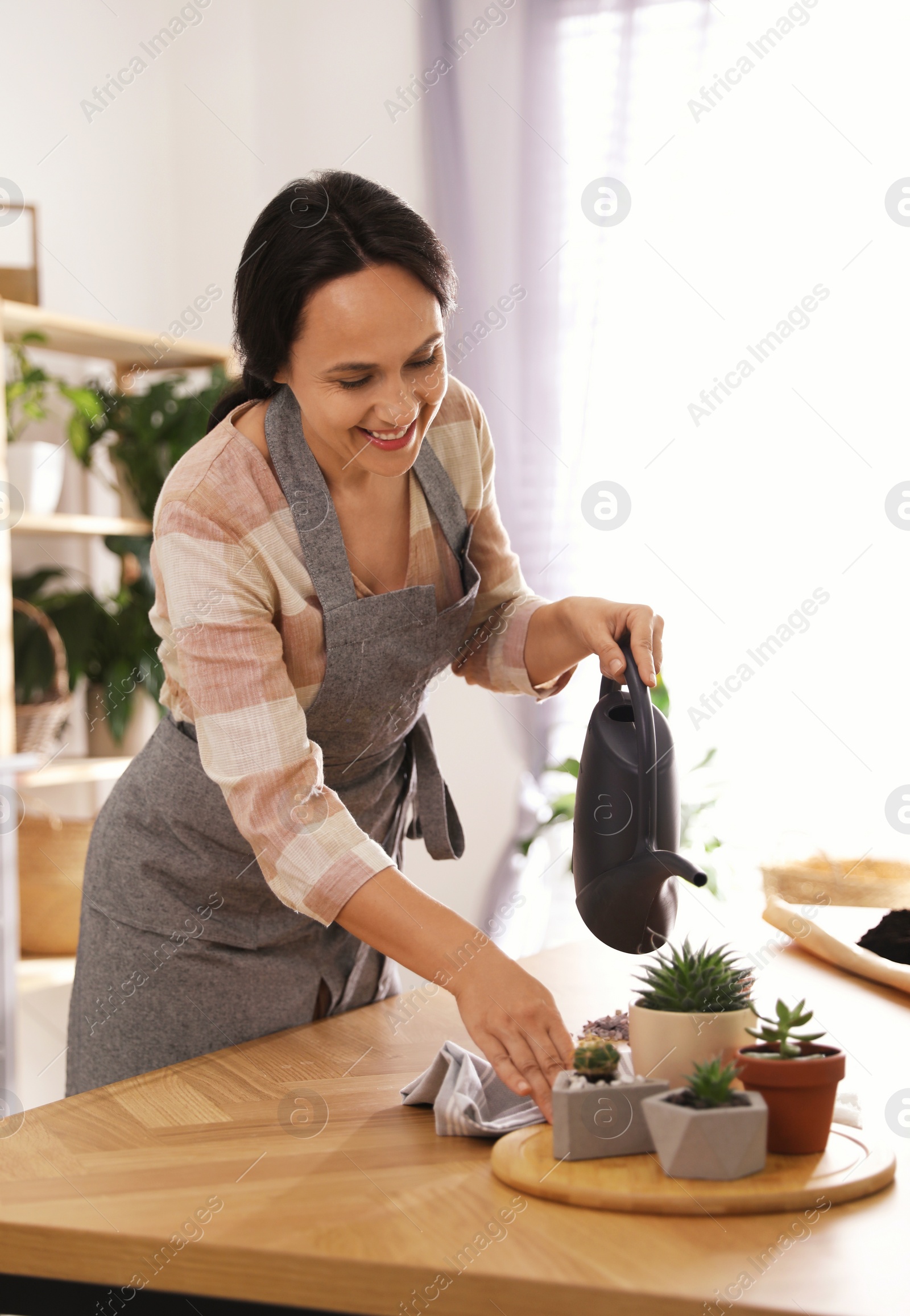 Photo of Mature woman watering houseplants at home. Engaging hobby