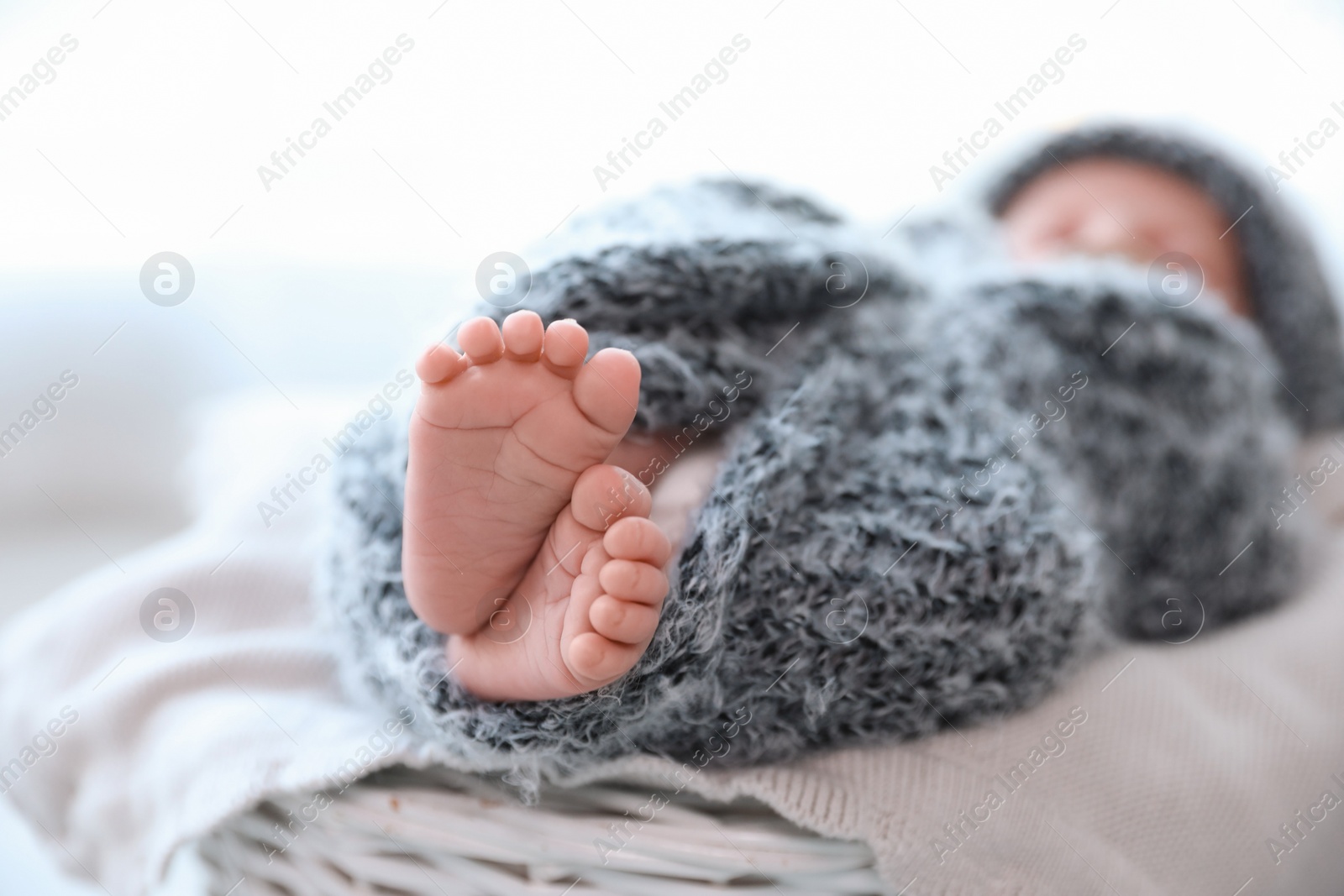 Photo of Newborn baby lying on plaid, closeup of legs