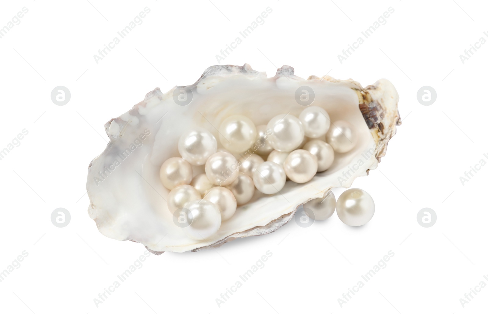 Photo of Oyster shell with pearls on white background