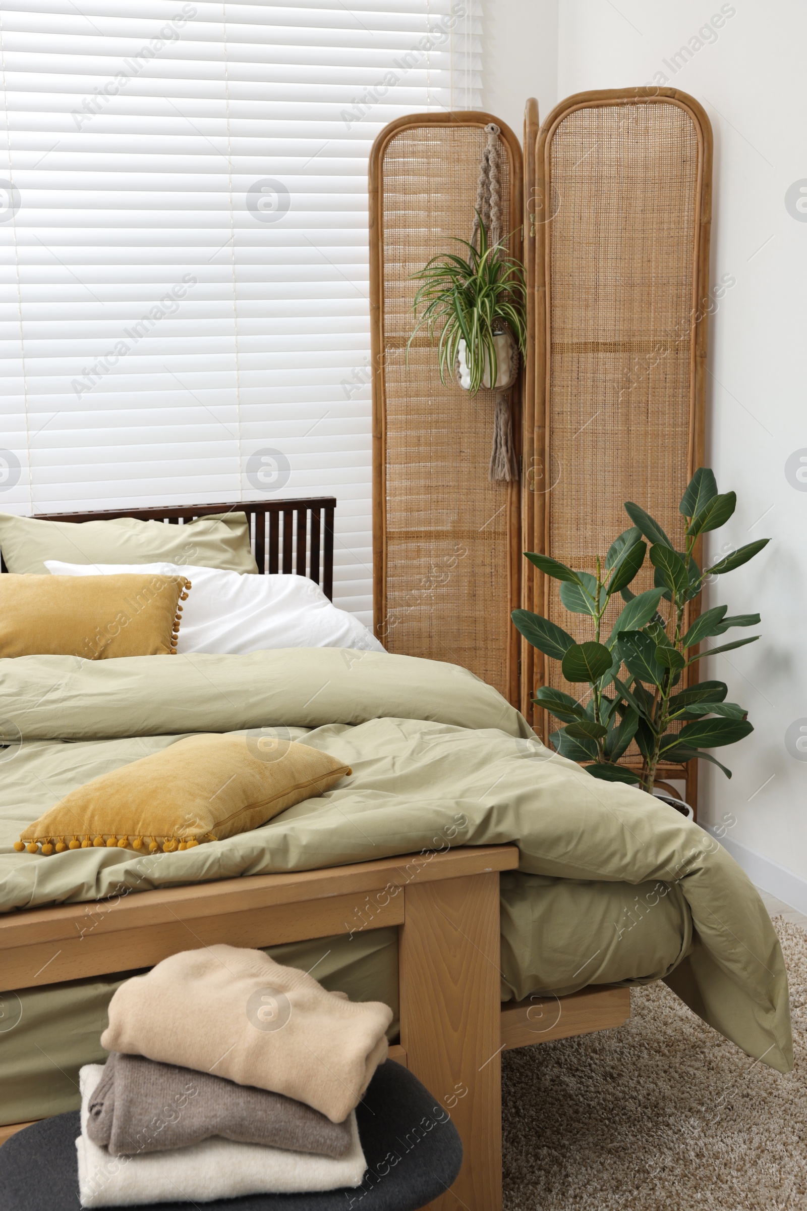 Photo of Comfortable bed and beautiful green houseplants in bedroom