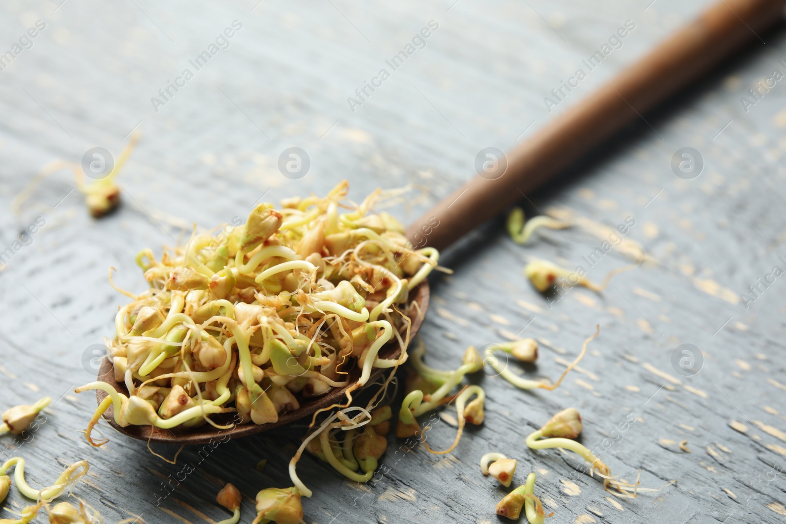 Photo of Spoon with sprouted green buckwheat on grey wooden table, closeup