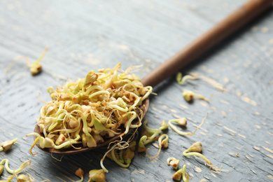 Photo of Spoon with sprouted green buckwheat on grey wooden table, closeup