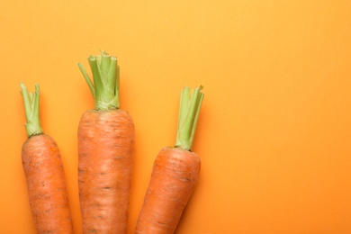 Flat lay composition with fresh carrots on color background. Space for text