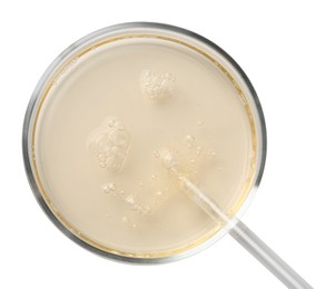 Petri dish with color liquid sample and pipette on white background, top view