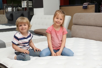 Photo of Cute little children on new orthopedic mattress in store